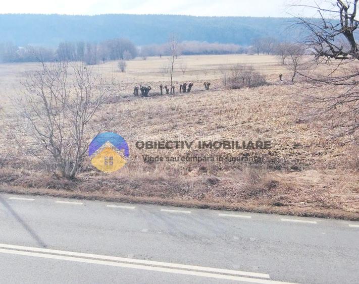 Teren 3.035 mp – BODEȘTI  - 3