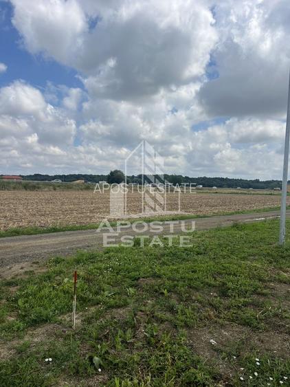 Teren Ghiroda cartier Bistra - toate utilitatile - 3