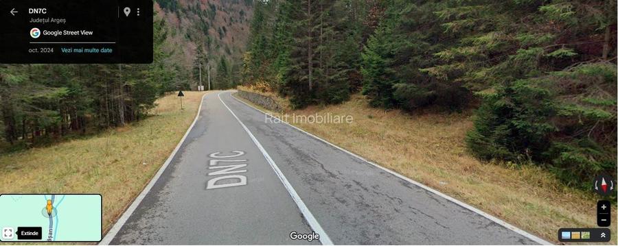 TEREN EXTRAVILAN PADURE PISCUL NEGRU ARGES - 2