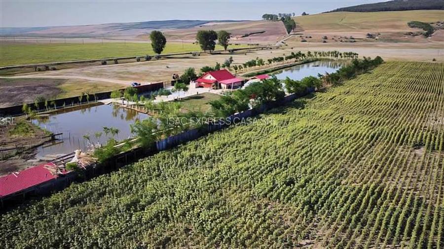 Proprietate deosebita de vanzare | Casa, 13.200 mp teren, doua iazuri cu peste | - 8