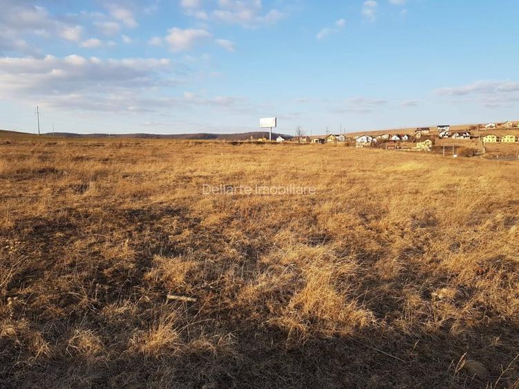 Teren intravilan 33000 mp, Piatra Neamt - 5