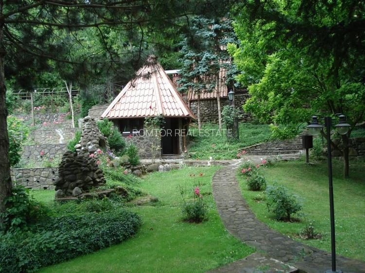 Campina Valea Doftanei Sotrile Paltinu - 21