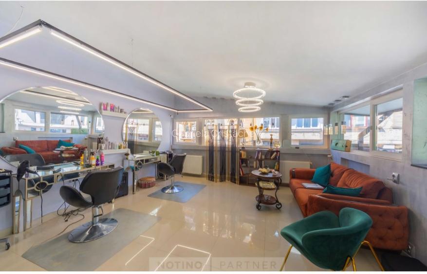 Unirii Spațiul comercial+Vila renovata Singur curte Ideal investitie - 14