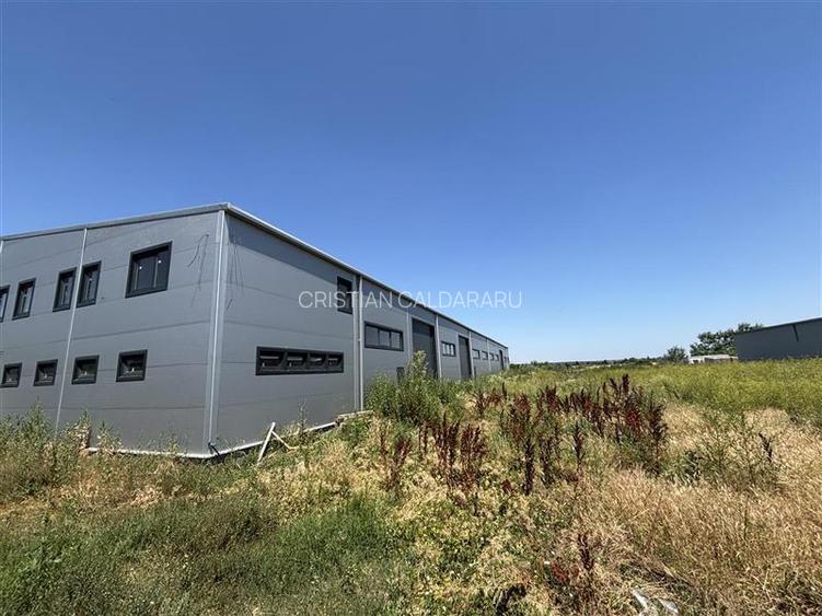 Inchiriere depozit/hala/spatiu industrial Chitila - Oxigenului, ILFOV - 3