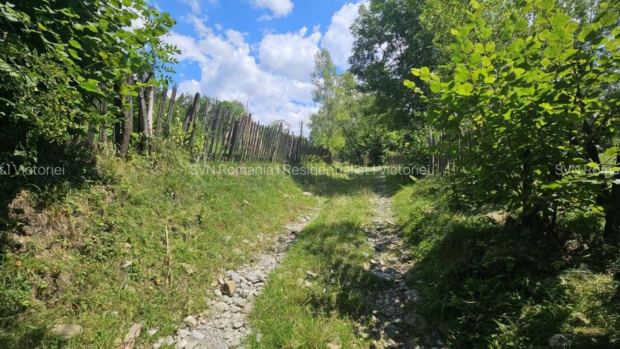 REL4001173 Teren de vanzare in Valea Doftanei - 6