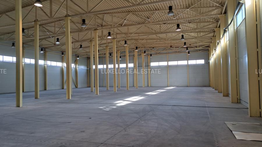 HALA DEPOZITARE CU ETAJ PARTIAL PENTRU BIROURI AMPLASAMENT: OTOPENI - 4