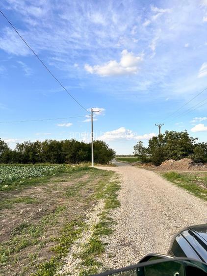 Vânzare teren intravilan 9100 mp – Str. Găterului, Orașul Răcari, Dâmbovița - 9