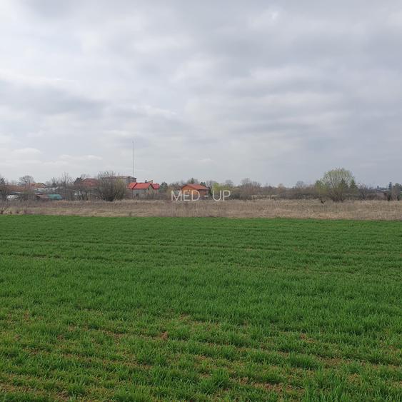 Tâncăbești -Ilfov suprafață 4500 mp - 6