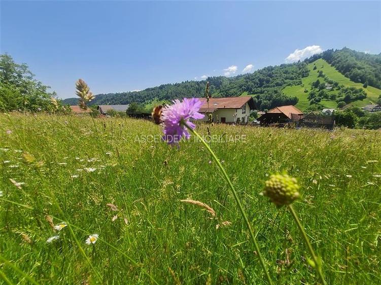 FILM!View superb catre munti,teren pretabil constructie Hotel,4.400 mp, Moieciu - 35