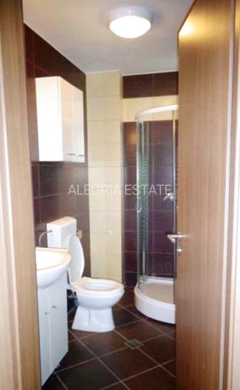 Vila individuala-Complex Aurel Persu-Berceni - 9