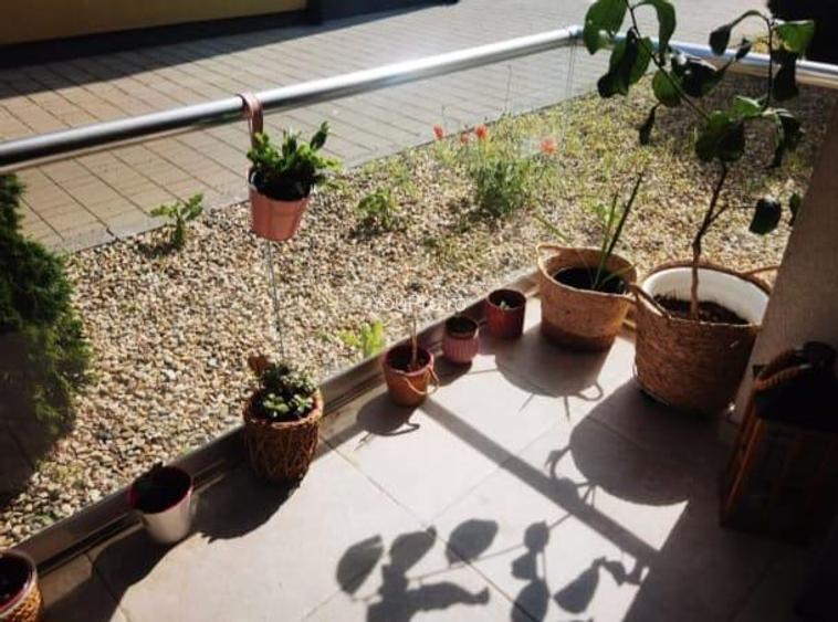 Dumbravita / Parter cu Balcon - 11