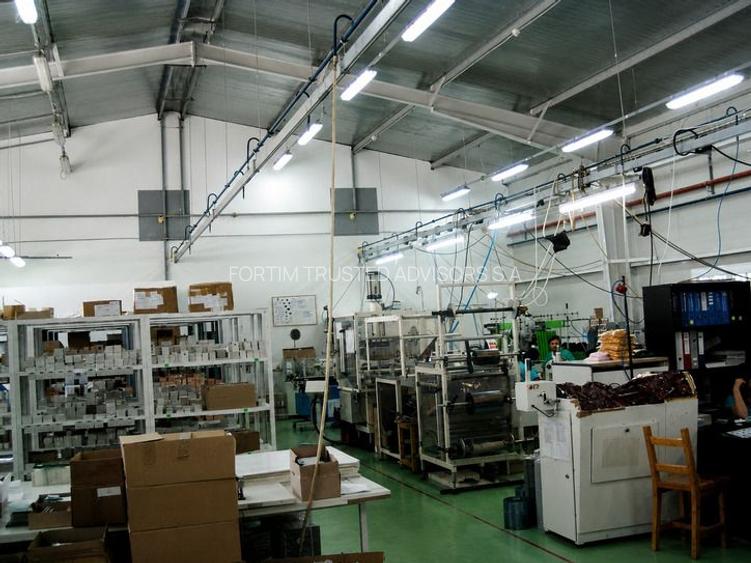 Str. Zizinului (Sacele) - Complex Industrial - 15