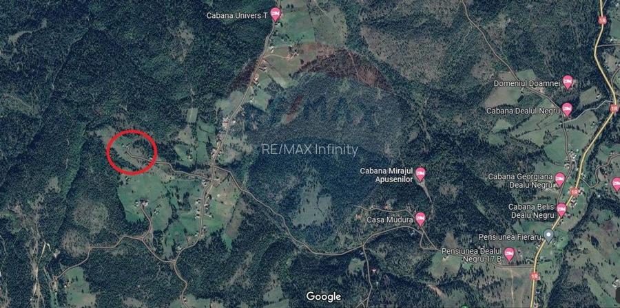 Teren de vanzare 8119 mp Calatele Padure.Muntii Apuseni - 5