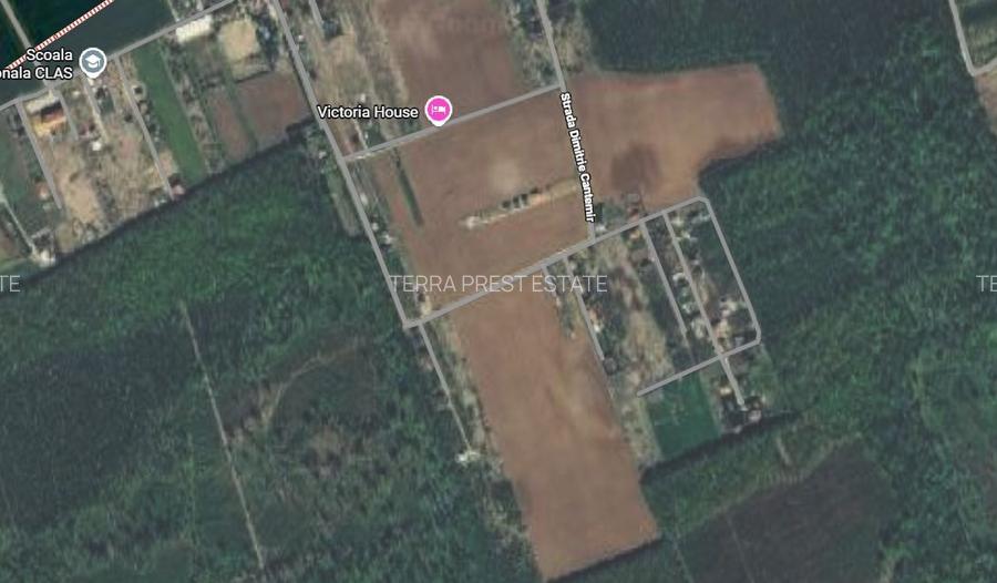 800 mp padurea Snagov Ciofliceni l utilitati la strada - 7