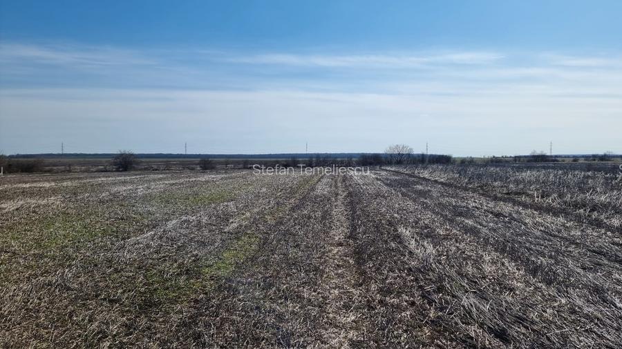 Ocazie- Teren Intravilan de Vanzare- Peris Snagov- Doar 9 euro/mp - 8