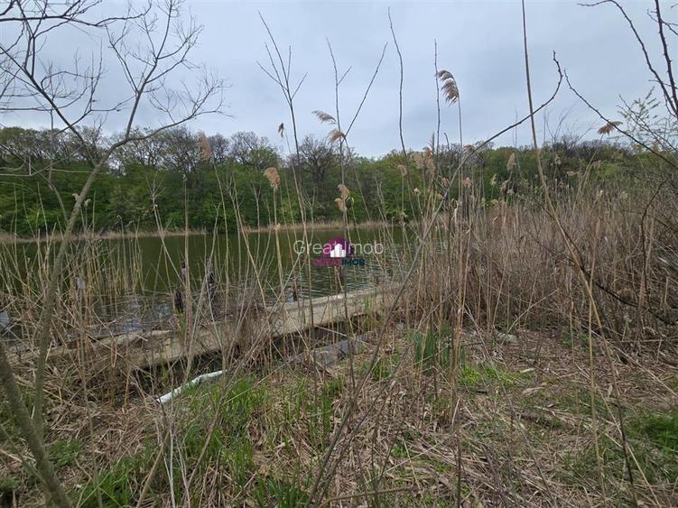 Teren 2000 MP Snagov Astoria - 3