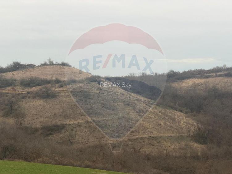 Teren agricol 18.800 mp în Crișeni, lângă Vurpăr - 2