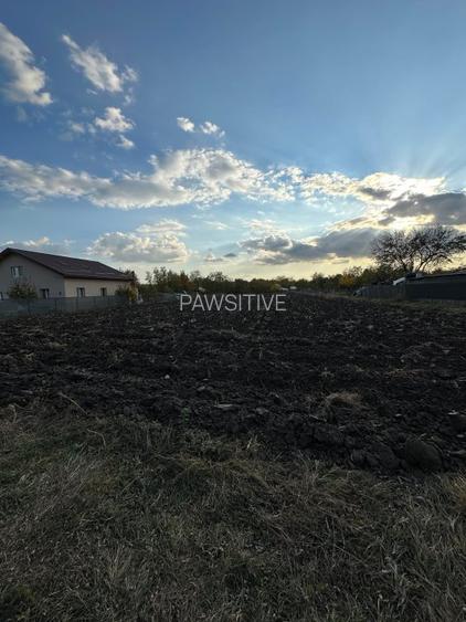 Teren intravilan casa Alexeni Ialomita - 2