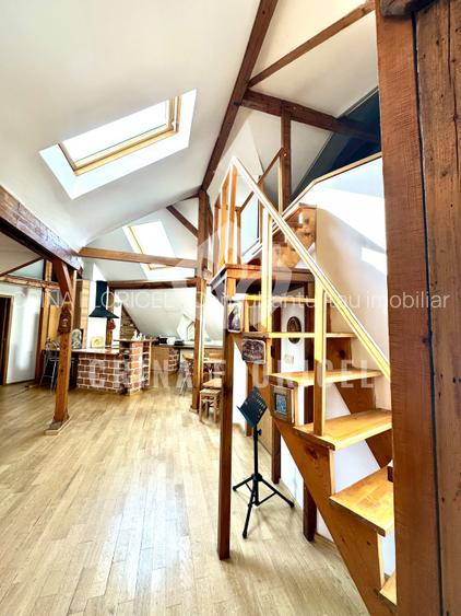 Vanzare mansarda 3 camere - str Serg.Maj.Ancuta Ilie - zona Parcul Carol - 13