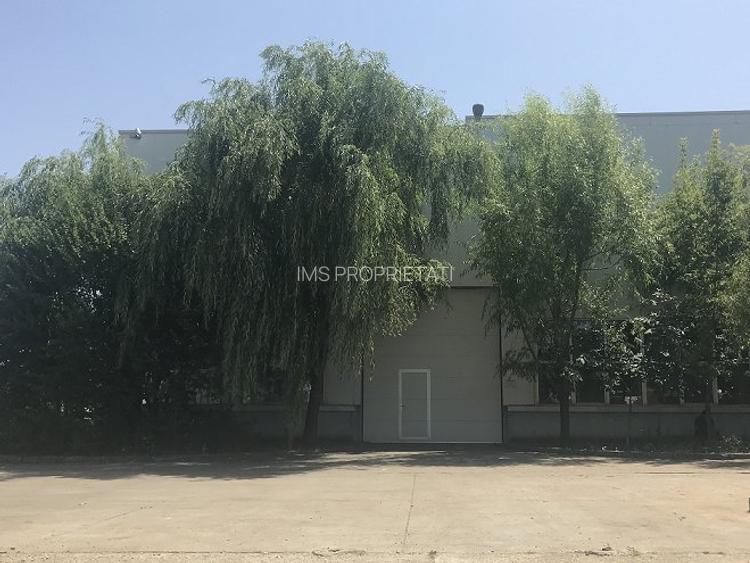 Hala de inchiriat - 5