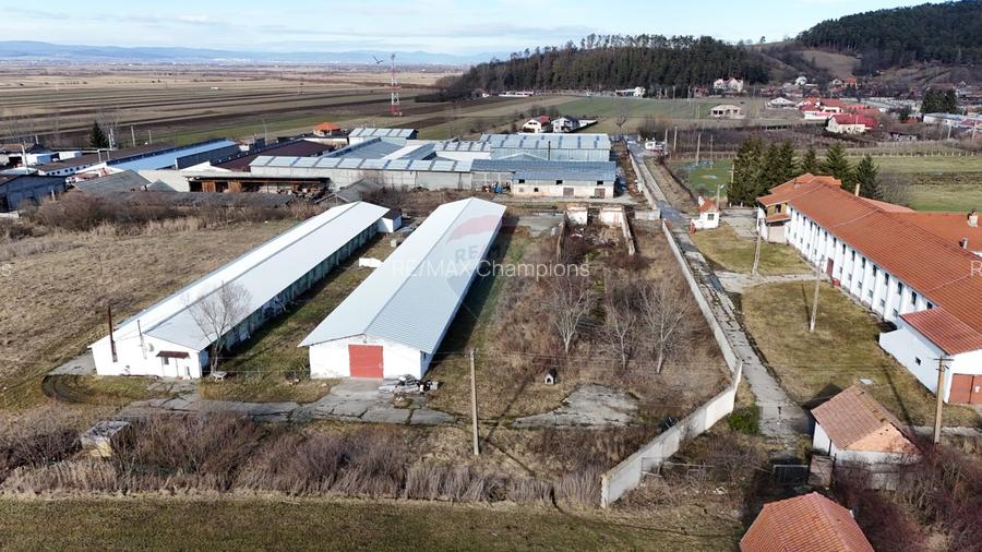 Teren intravilan 1.729 mp + hală parțial demolată | Teliu I Comision 0 - 8
