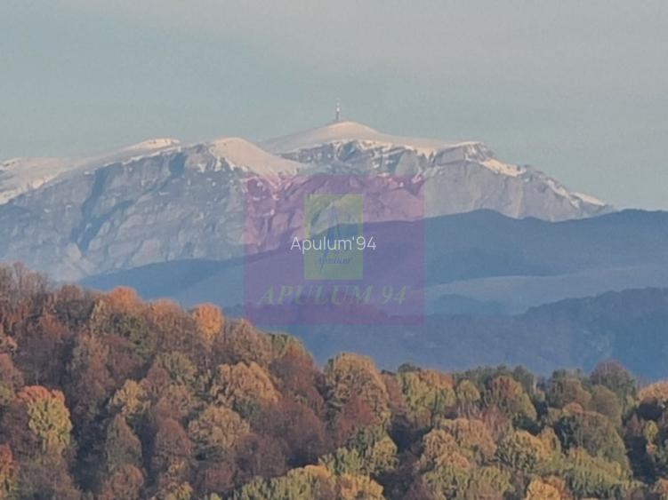 Teren intravilan de vanzare in Telega - 2