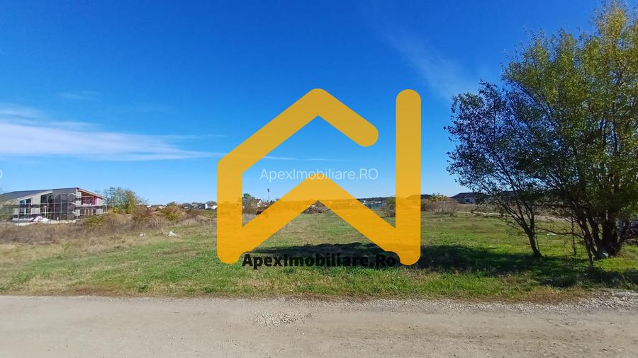 Corbeanca - Tamasi | Teren 1225mp, deschidere 44ml | Utilitati la 50m - 6