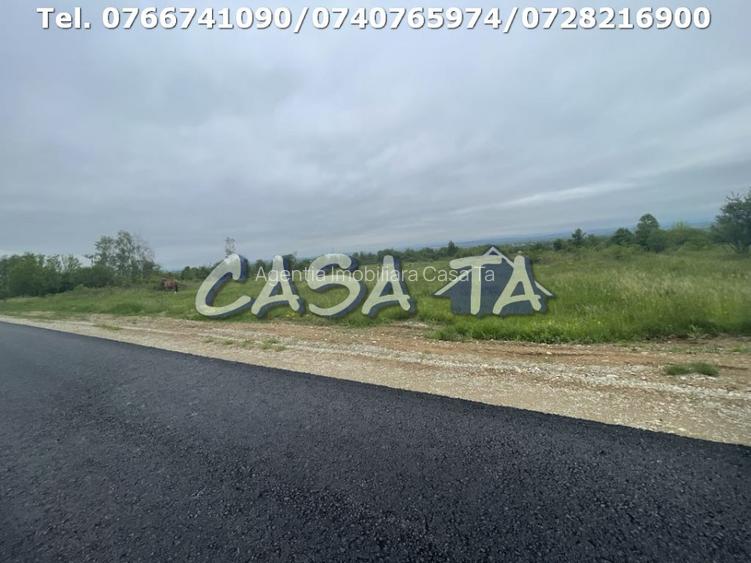 Teren Intravilan (4718 mp), Danesti - 3