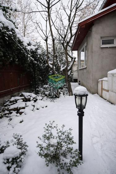 Casa la curte zona Timpuri Noi Vitan - 50