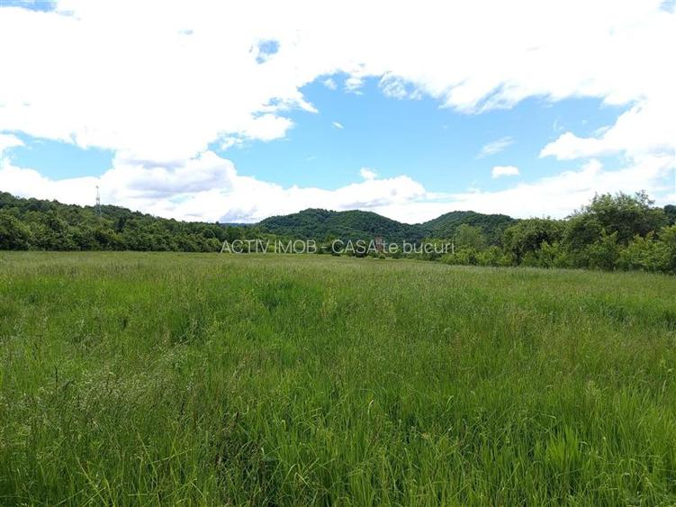 Borlovenii Noi, Teren Drept, 16000mp, la Limita Localitatii - 10