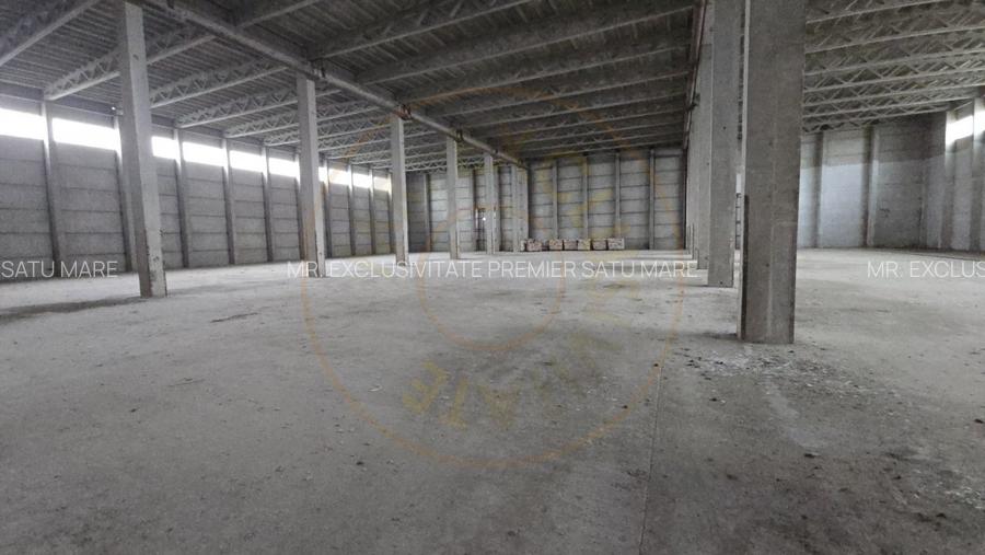 De Vanzare Hala/Depozit - 2