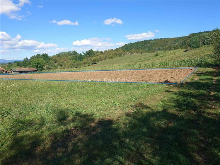 Teren intravilan cu potential, casa si anexe in Lunca - 16