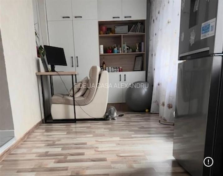 Apartament 2 camere de vanzare zona Alexandru - 4
