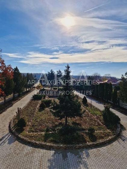 VANZARE VILA | HALA IN VLADICEASCA | SNAGOV | 10.500 MP TEREN - 4