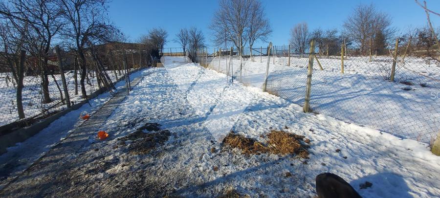 Casa individuala 3 camere, teren 540 mp – Șura Mare, Sibiu - 11