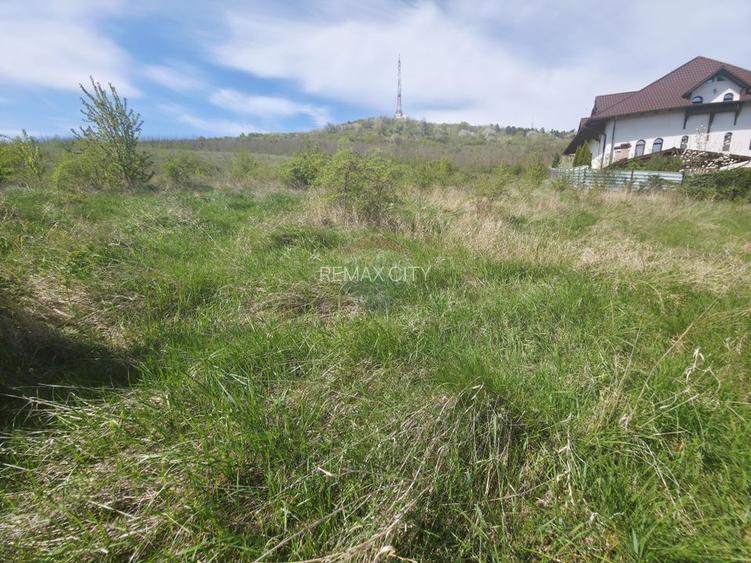Teren 500mp Zona Fermelor - 11