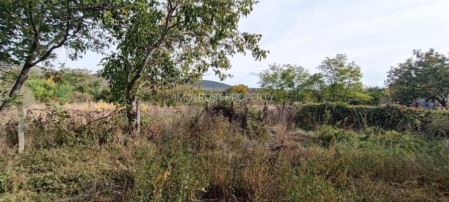 🏡  Casă de Poveste în Șiria, Arad- Locație Rară - 15