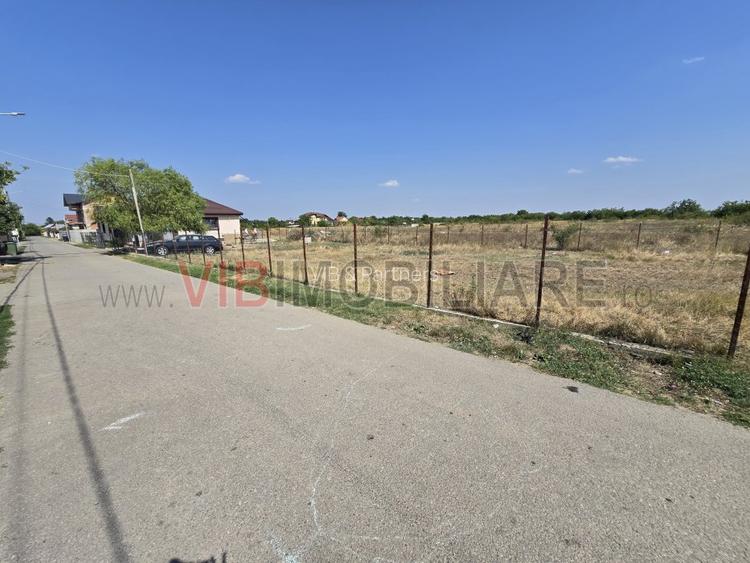 Teren Balotesti 400 mp -stradal - asfalt - 4