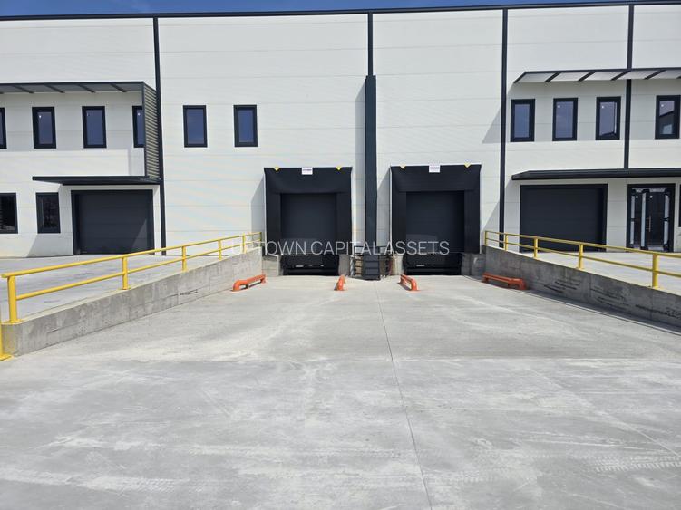 Hala Depozit H3 - 2026 - Rampe TIR - ISU - A0/A3 - 600 EUR/mp - 4
