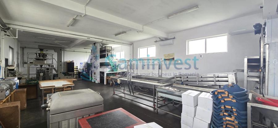 Hala industriala pentru productie si depozitare,de vanzare, langa Oradea,Bihor - 3