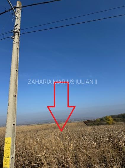 Teren 6.668 mp, de vanzare, loc. BOGDAN VODA, la E-85, com. Saucesti, jud. Bacau - 10