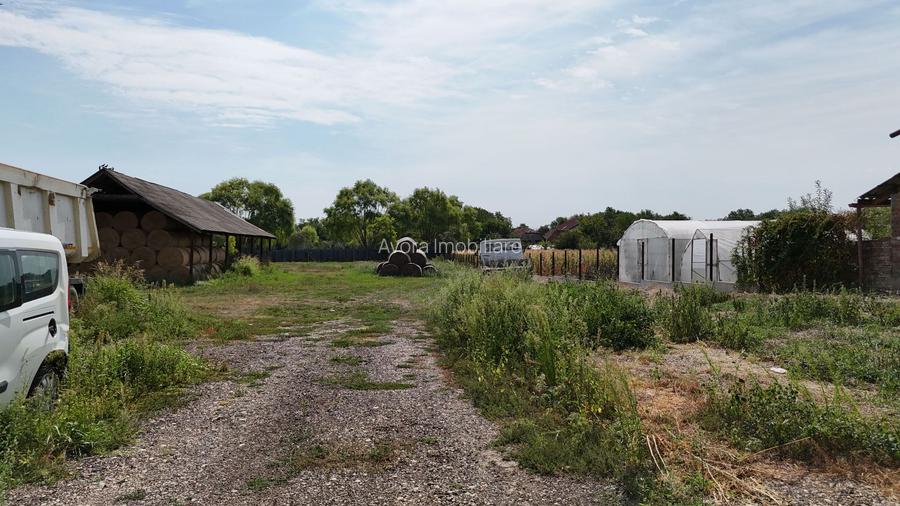 Teren intravilan Dudestii Noi - 7