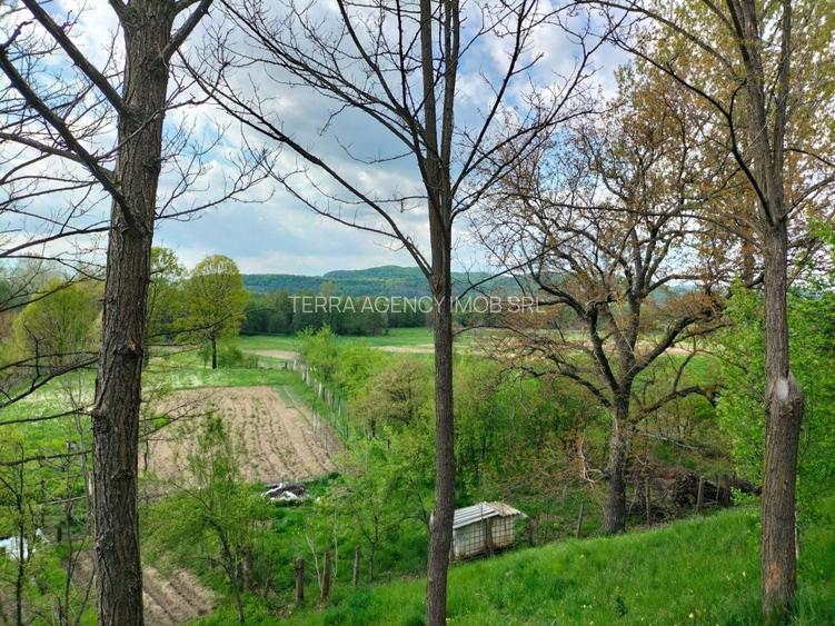 V&acirc;nd / schimb casă P + 1 și 1000 mp teren &icirc;n localitatea St&acirc;lpeni. - 10