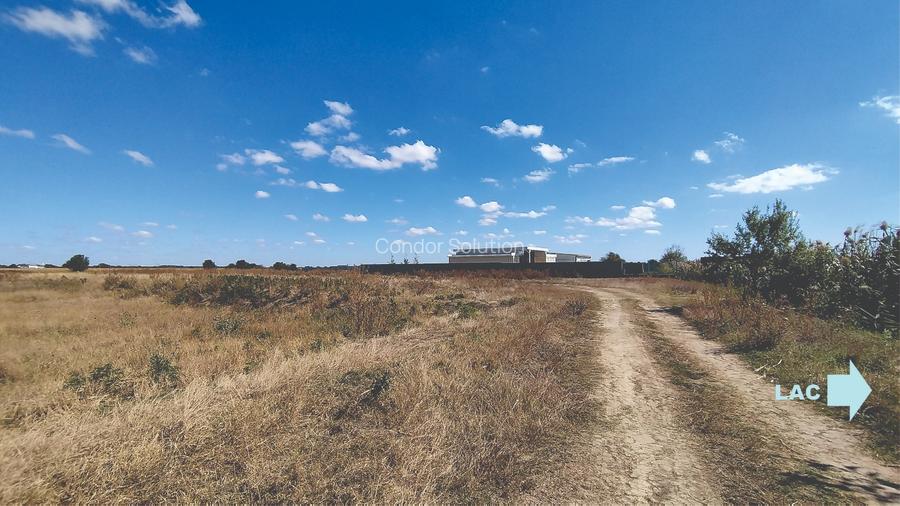 Vanzare teren 4400 mp Snagov - Gruiu, cu deschidere la lacul Snagov - 4