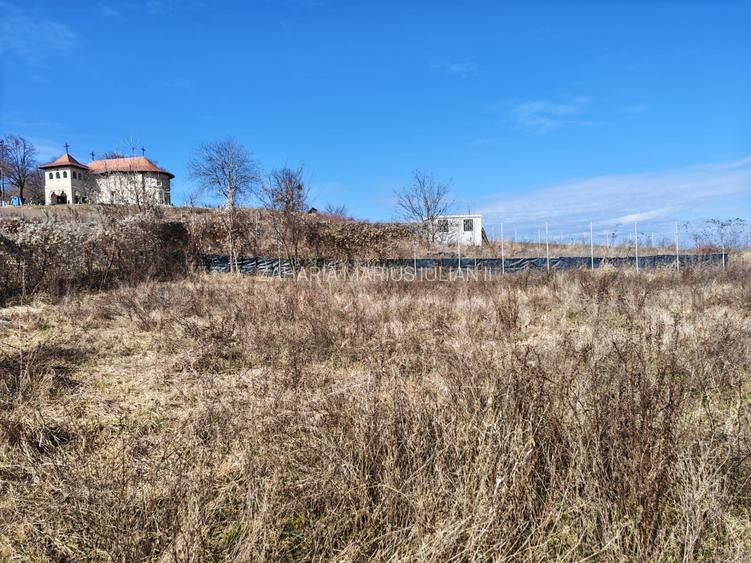 Teren superb Fantanele - 4