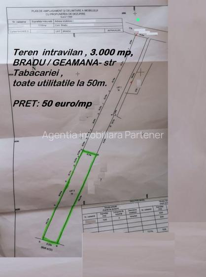 Terenuri Bradu, diverse suprafete - 9