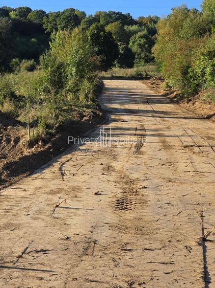 Teren 1000 Mp Intravilan De Vanzare, Langa Lac, Ivanesti - 6
