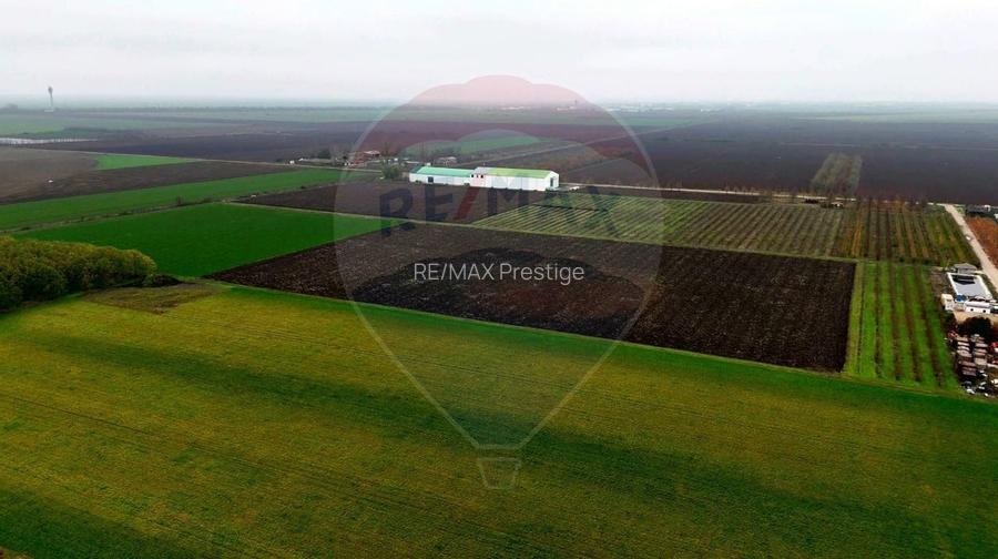 Ferma agro-industrială – 43 ha Adunații Copaceni - 15