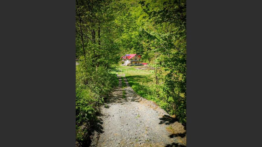 Casa de vacanta perfecta pe malul Cernei  - 13