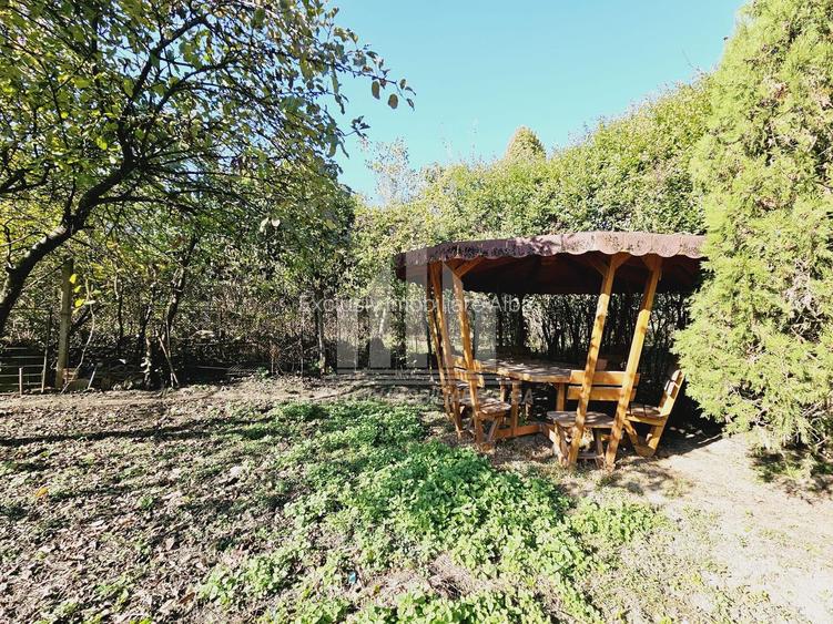 Casa individuala | 320 mp | 839 mp teren | Toate utilitatile | Tolstoi - 17